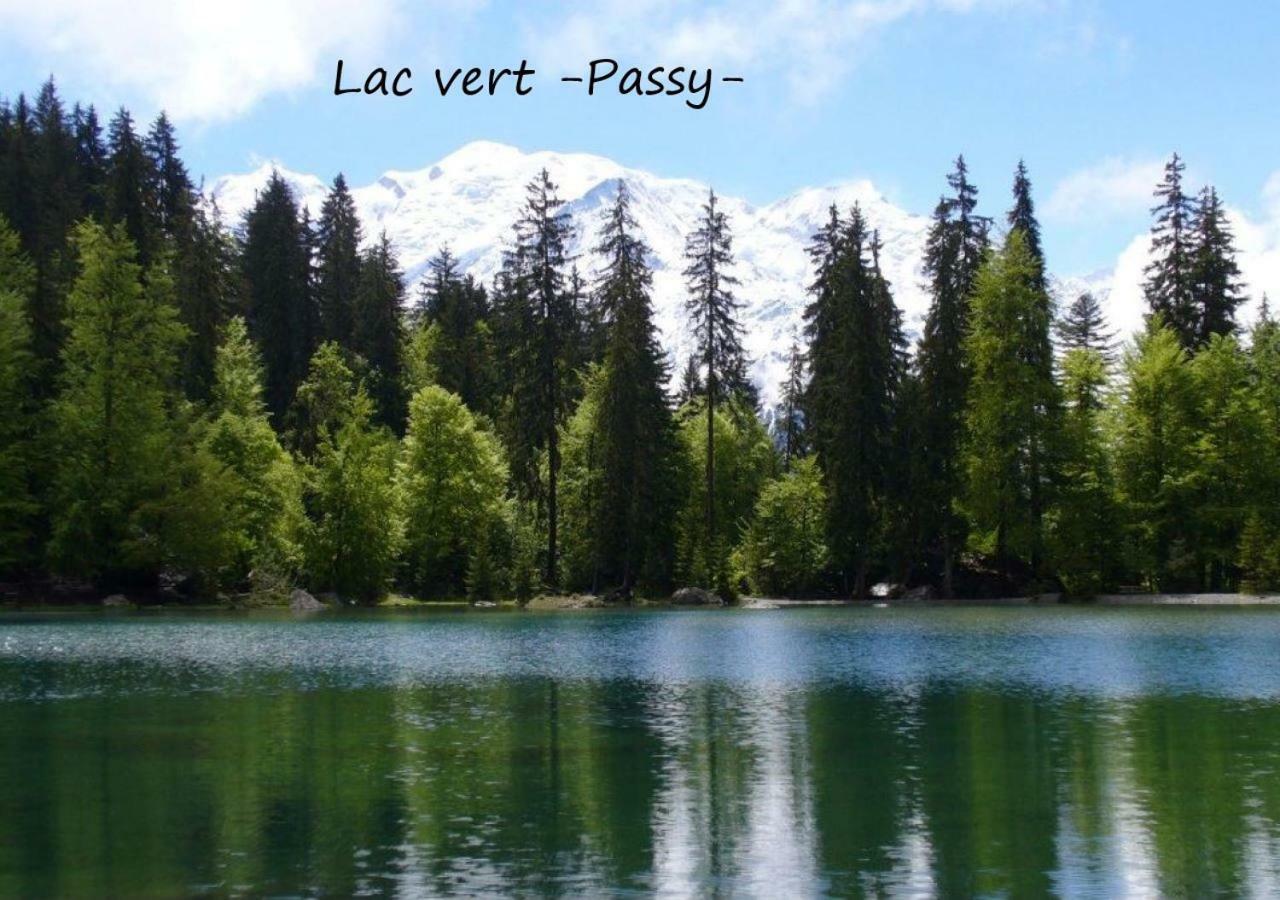 Appartement T2+Cabine Independante Au Depart Des Telecabines Saint-Gervais/Bettex/Mont D'Arbois 外观 照片